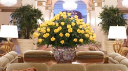 Sophisticated arrangements by Winston Flowers decorate nearly every major hotel lobby in Boston.